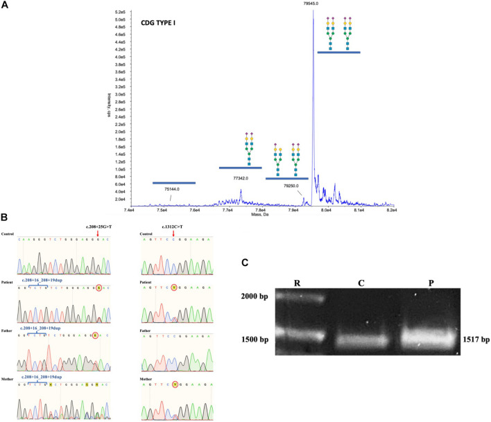 FIGURE 3