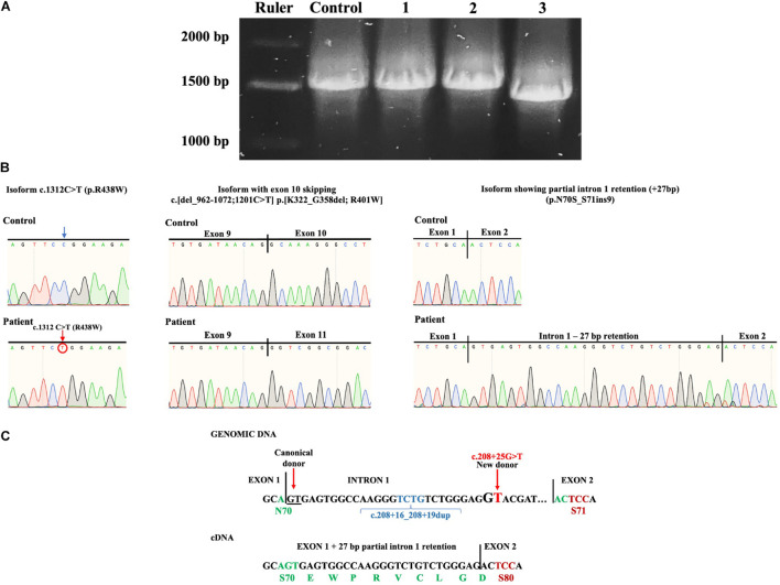 FIGURE 4