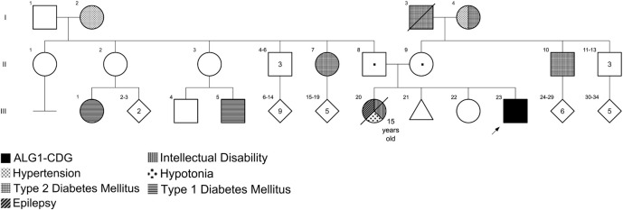 FIGURE 1