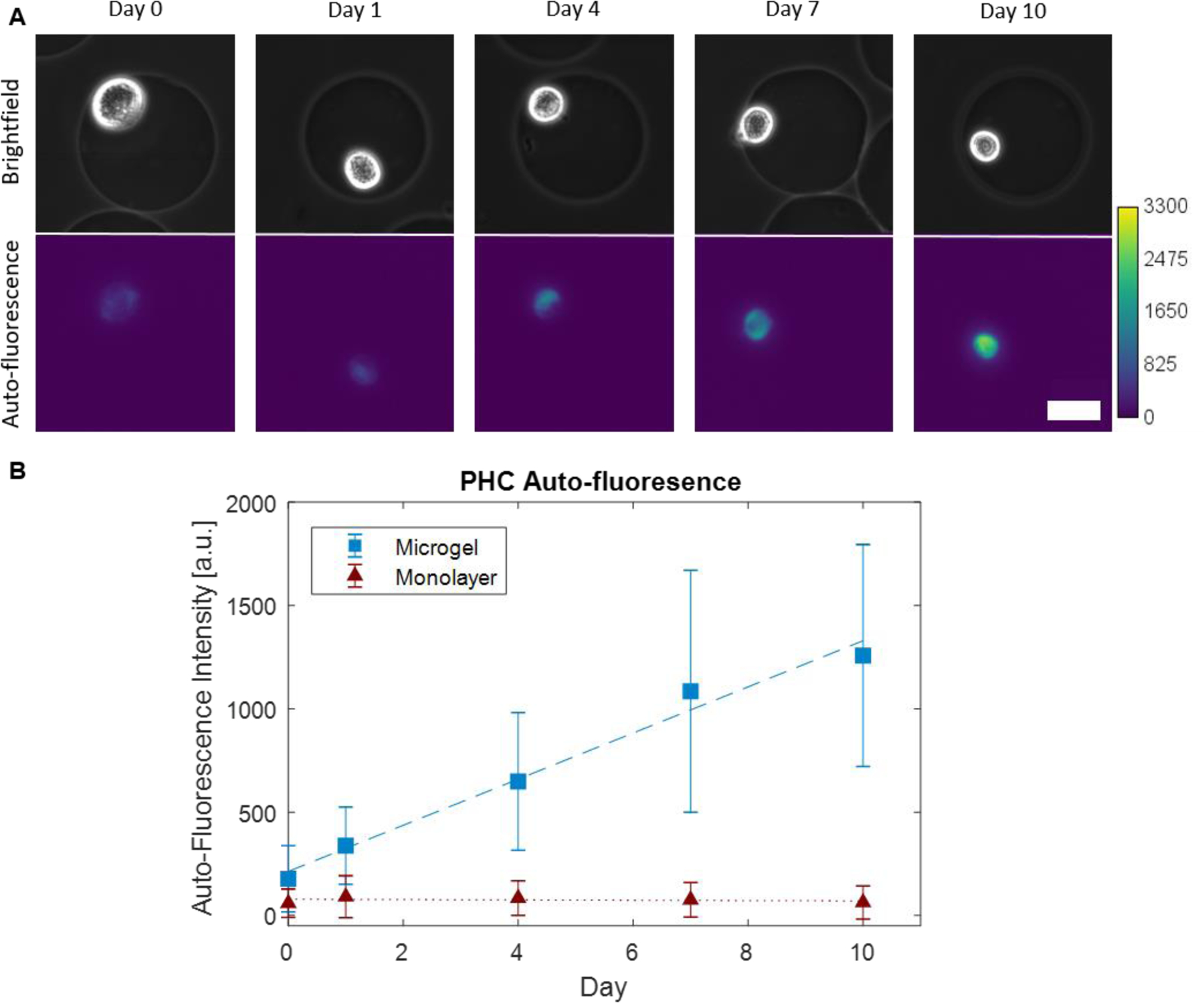 Figure 2: