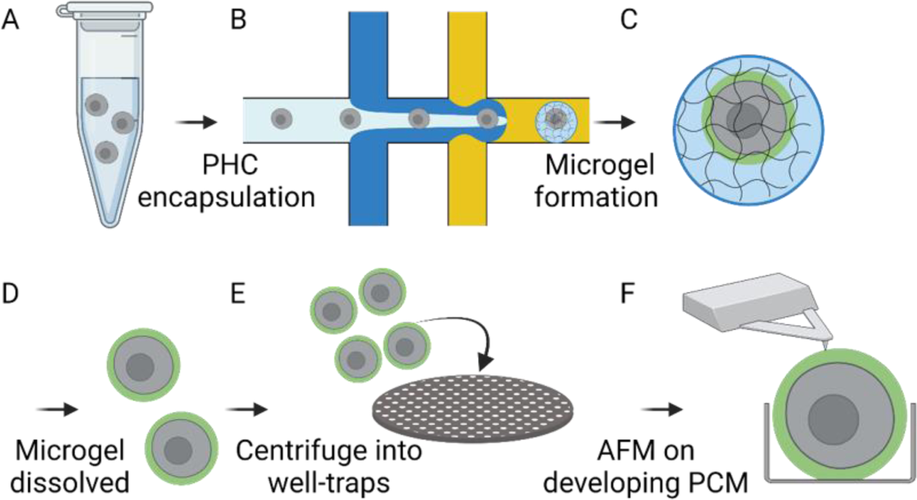 Figure 1: