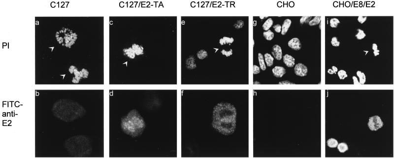 FIG. 6