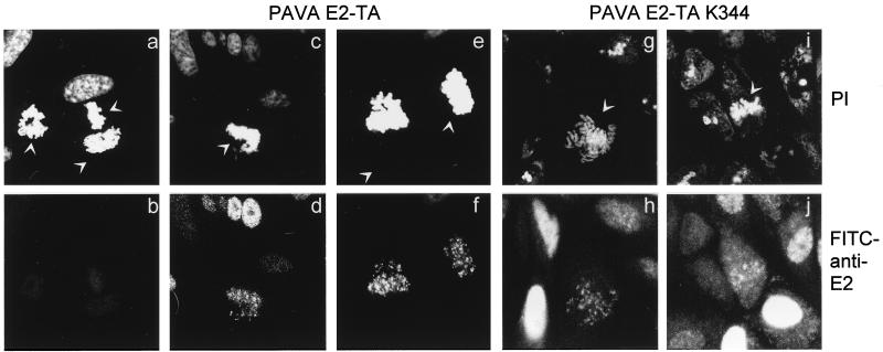 FIG. 9