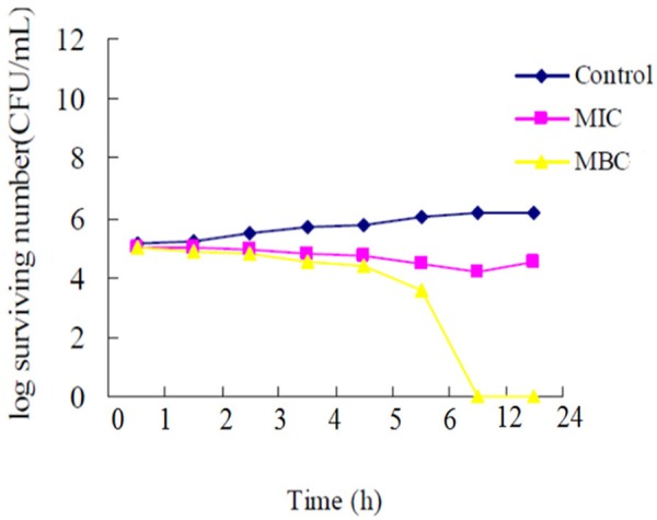 Figure 4