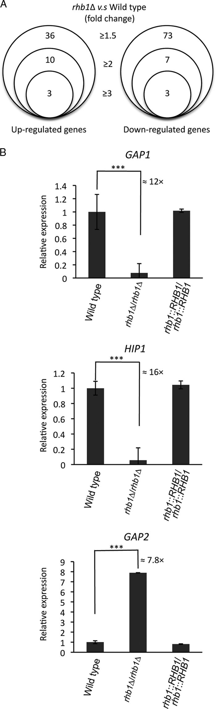 Fig 6