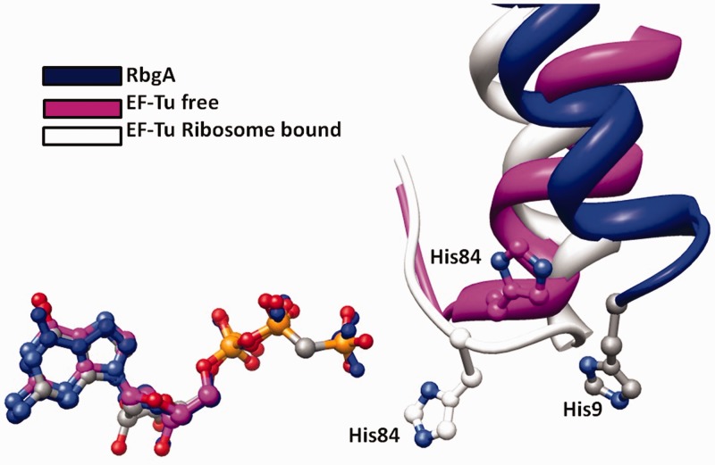 Figure 6.