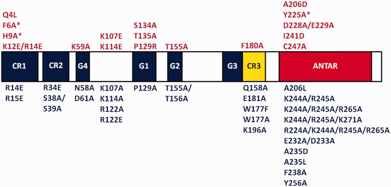 Figure 4.