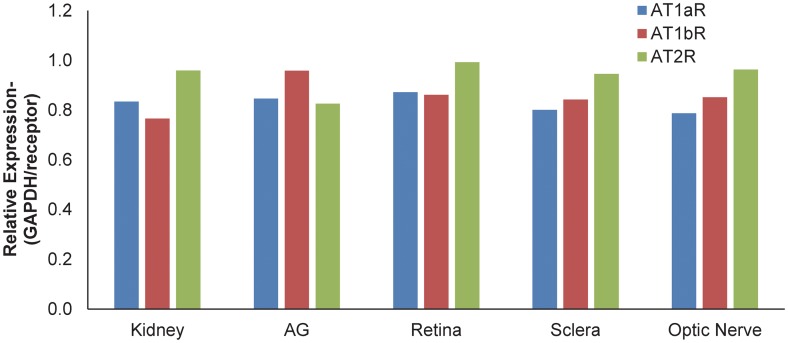 Fig 6