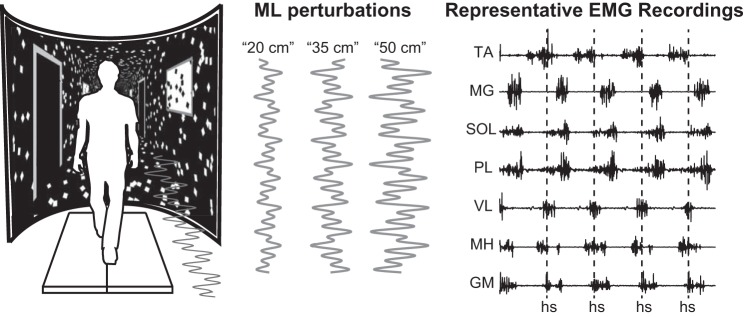 Fig. 1.