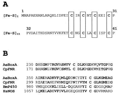 FIG. 6