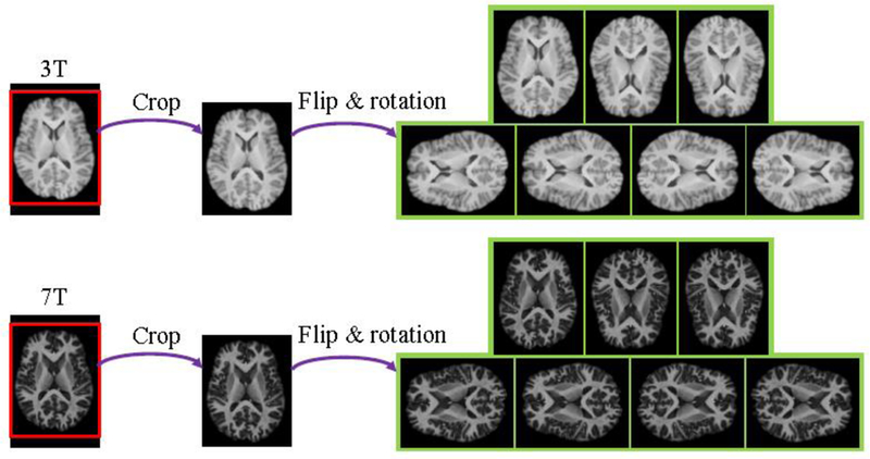 Figure 4: