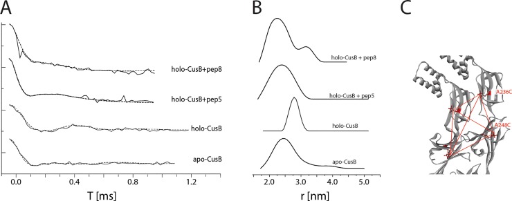 Fig 5