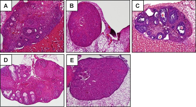 FIG. 9