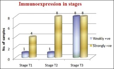 Graph 3