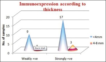 Graph 5