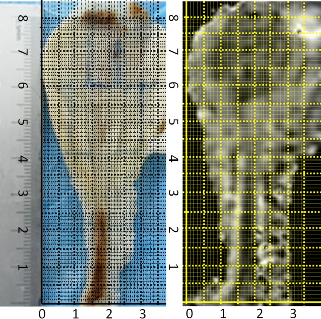 Figure 2.