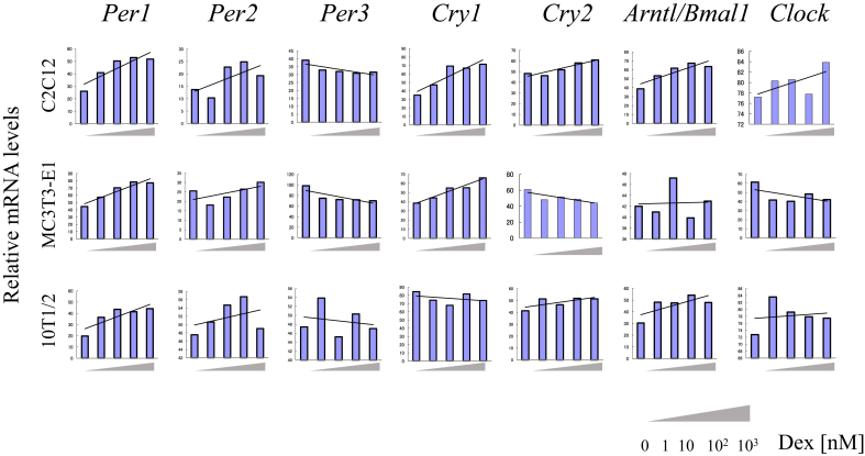 Fig. 1