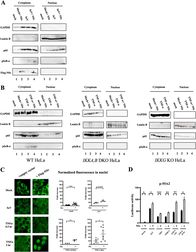 FIG 2