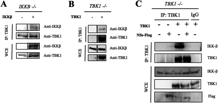 FIG 4