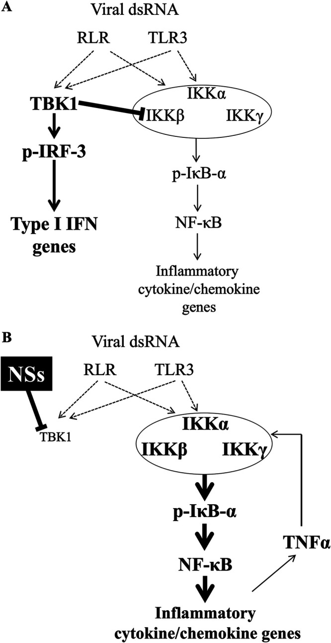 FIG 6