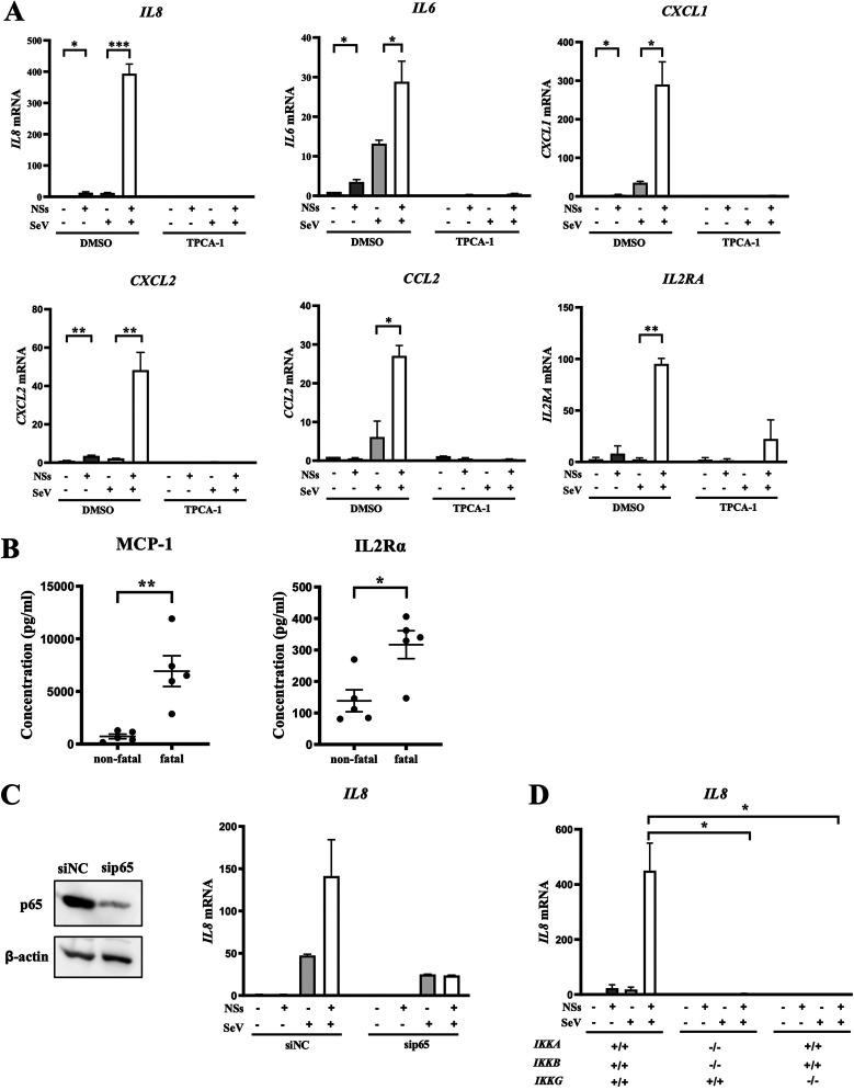 FIG 1