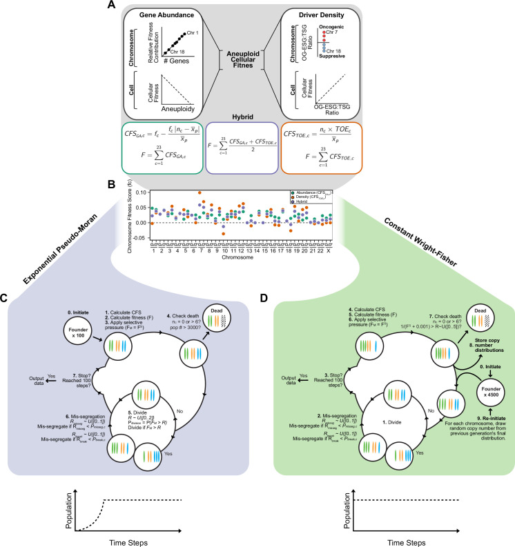 Figure 1—figure supplement 1.