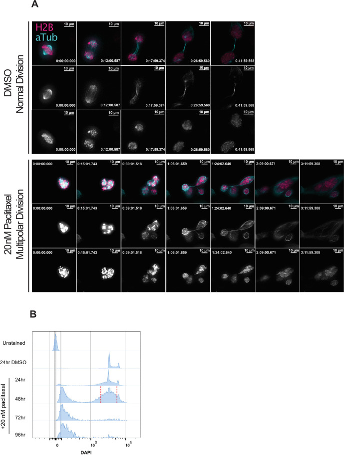 Figure 5—figure supplement 1.