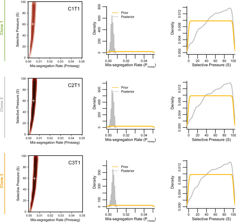 Figure 6—figure supplement 5.