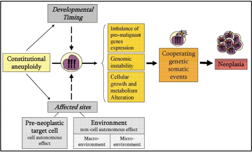 Figure 2.