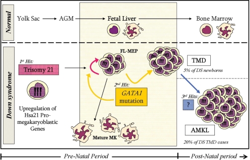 Figure 1.