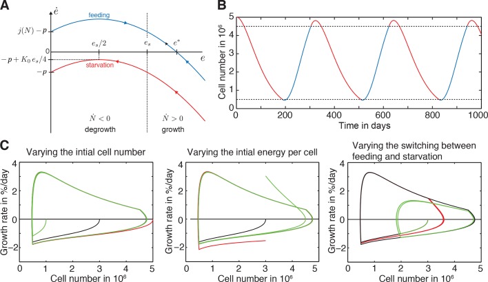 Figure 3—figure supplement 1.