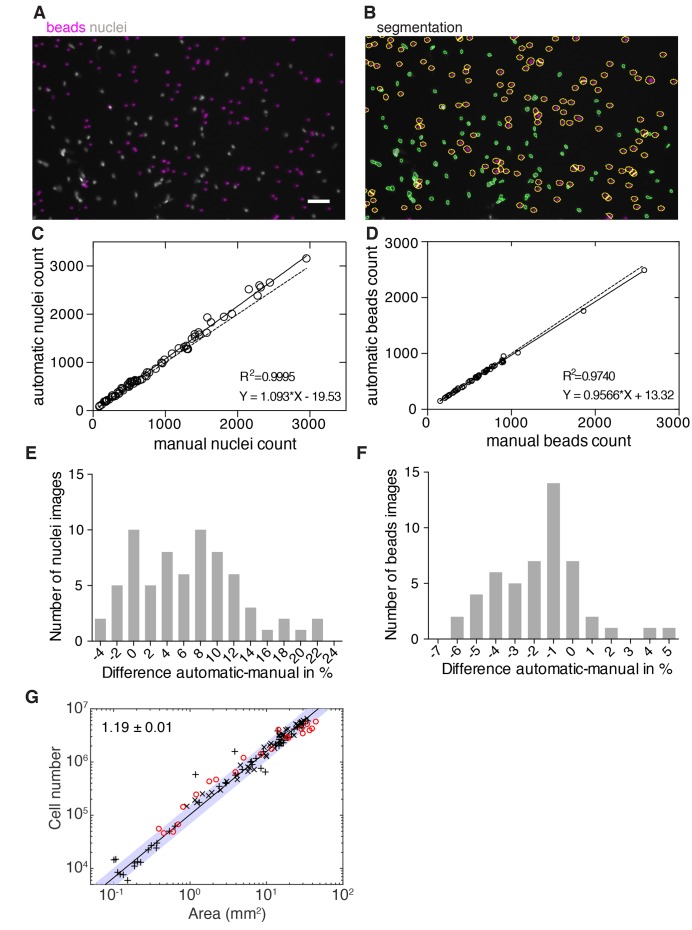 Figure 2—figure supplement 2.