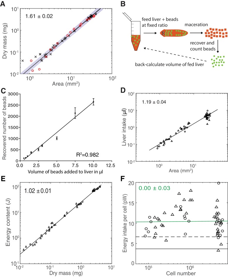 Figure 3—figure supplement 2.