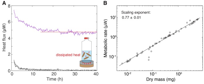 Figure 1—figure supplement 1.