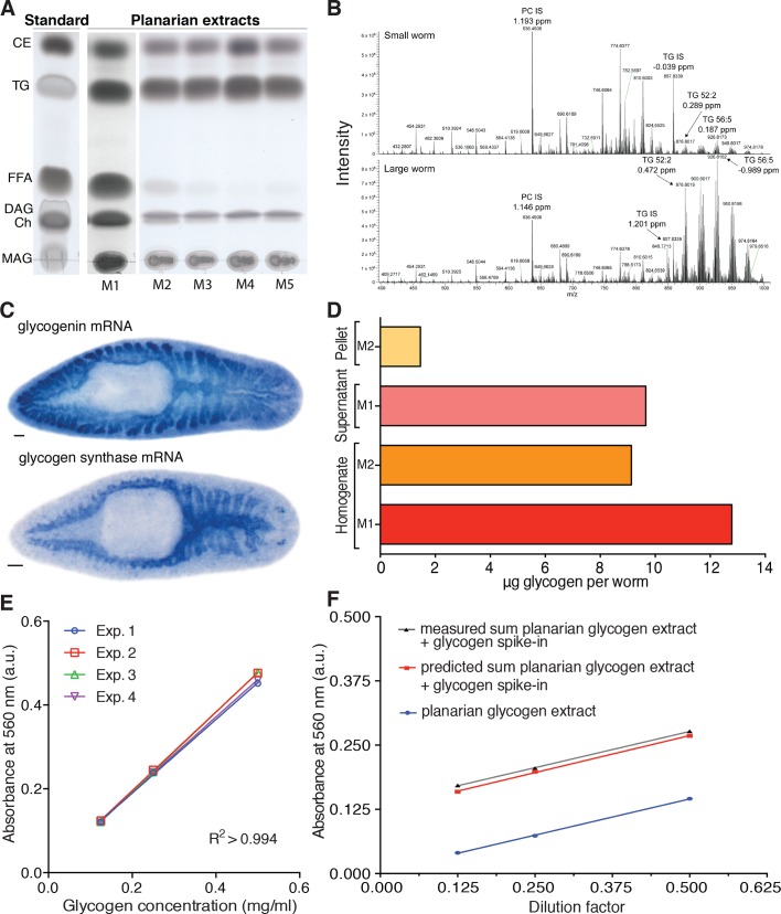 Figure 4—figure supplement 1.