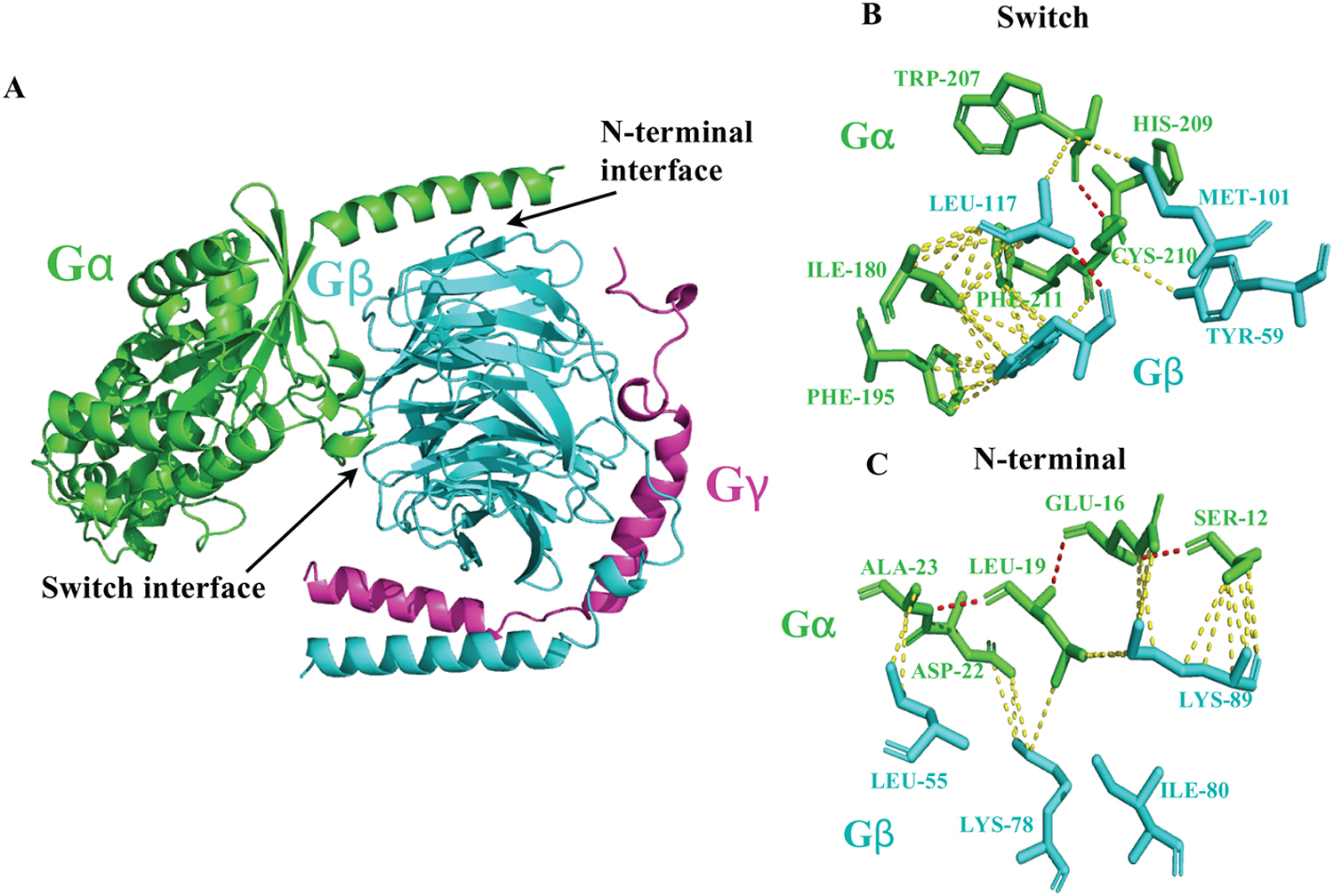 Figure 13.