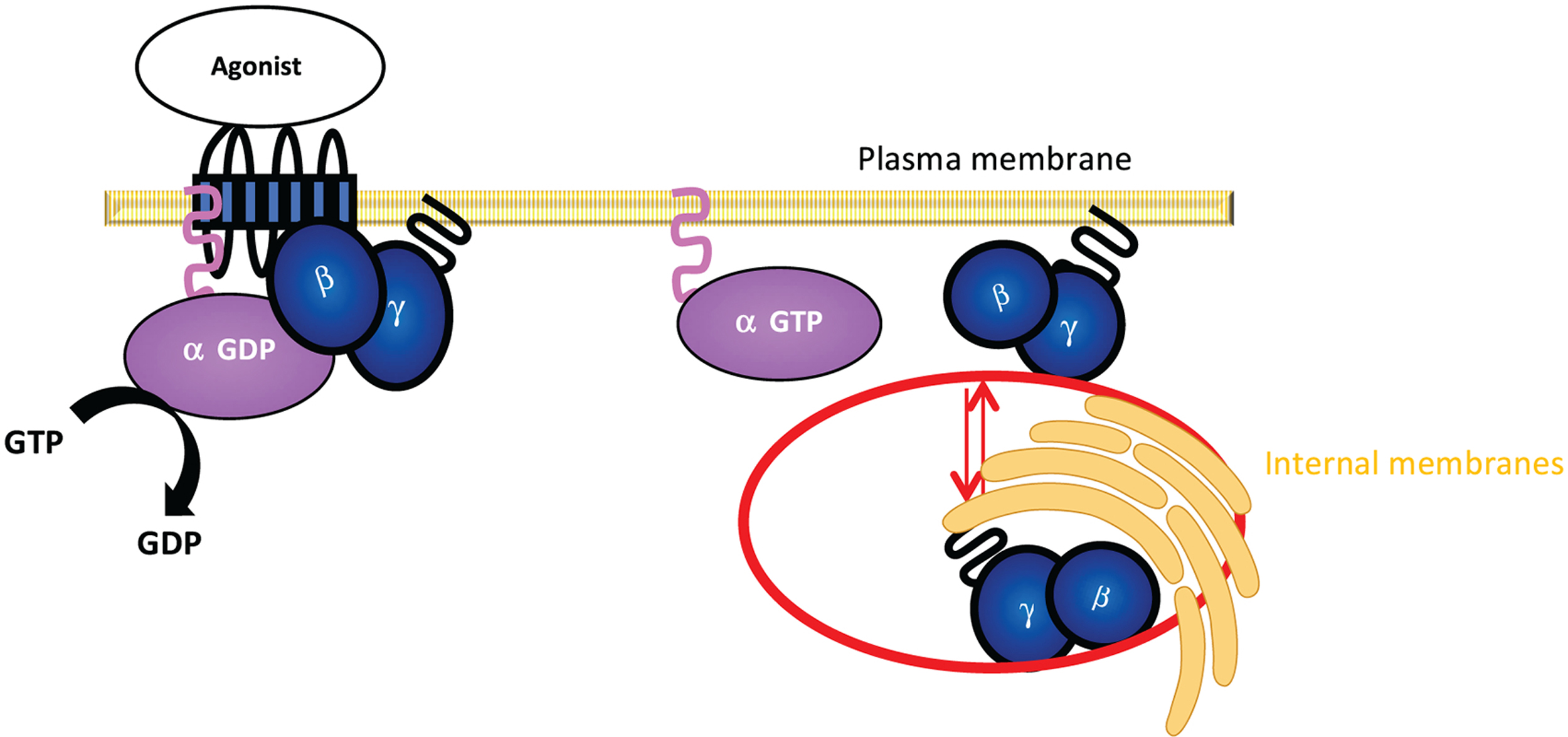 Figure 17.