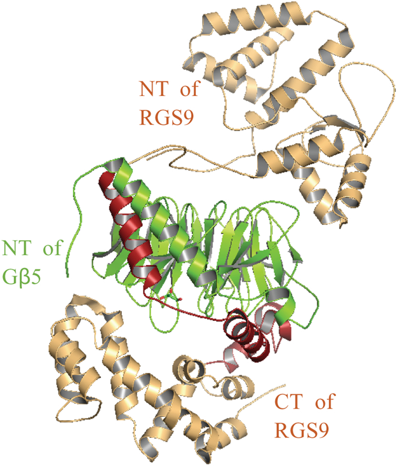 Figure 18.