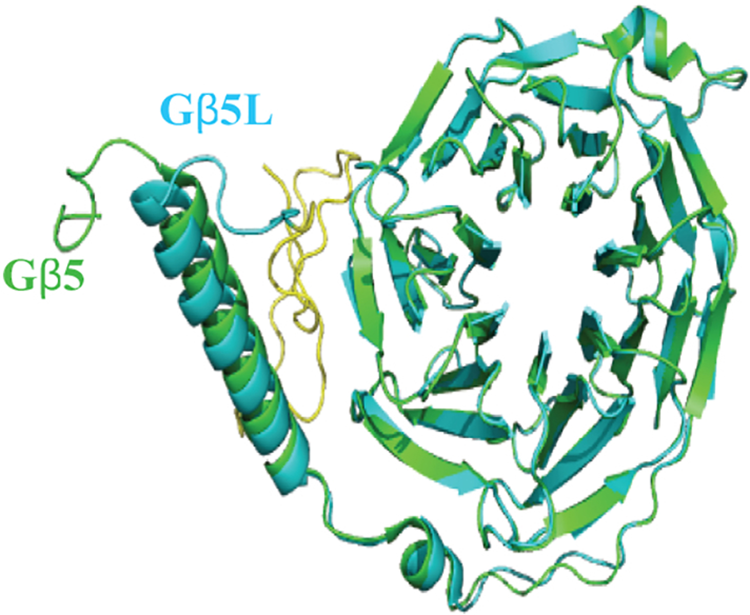 Figure 4.