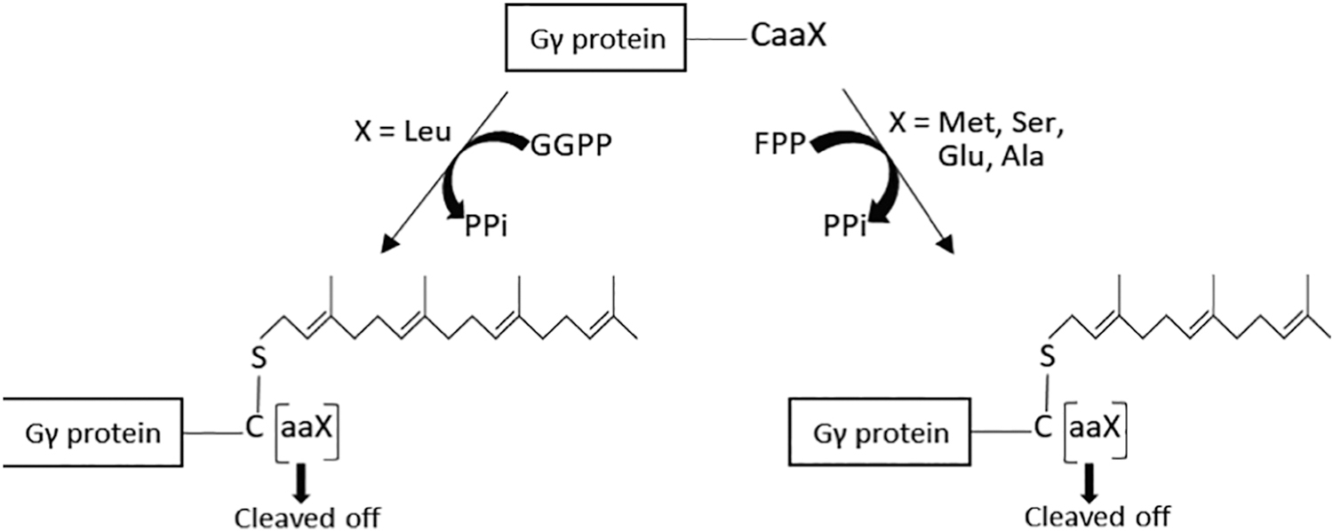 Figure 15.