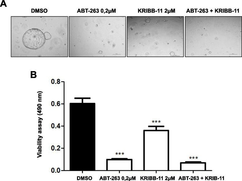 Fig. 11