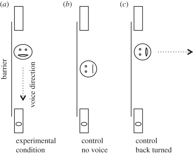 Figure 2.