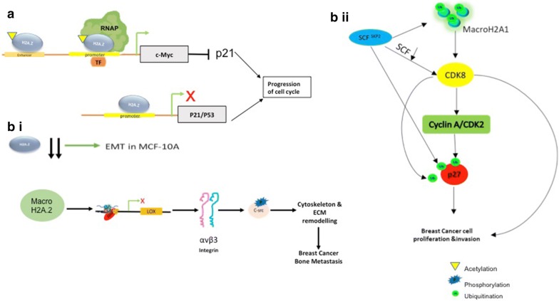 Fig. 3