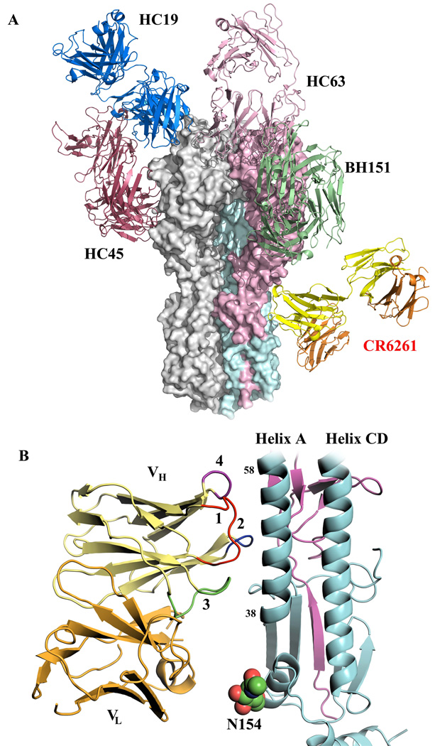 Figure 2