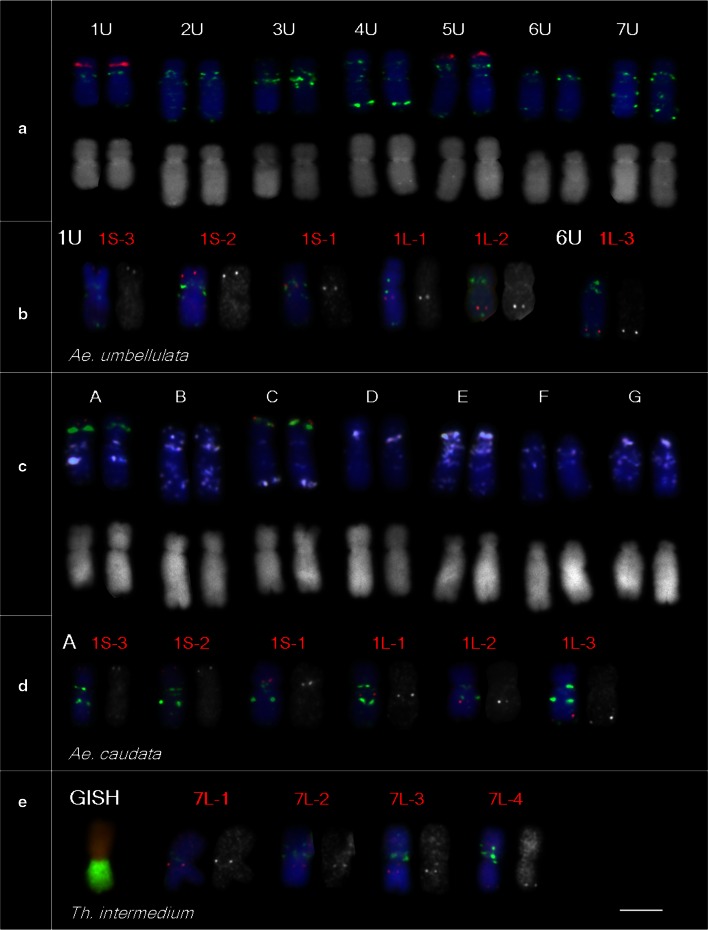 Fig. 4