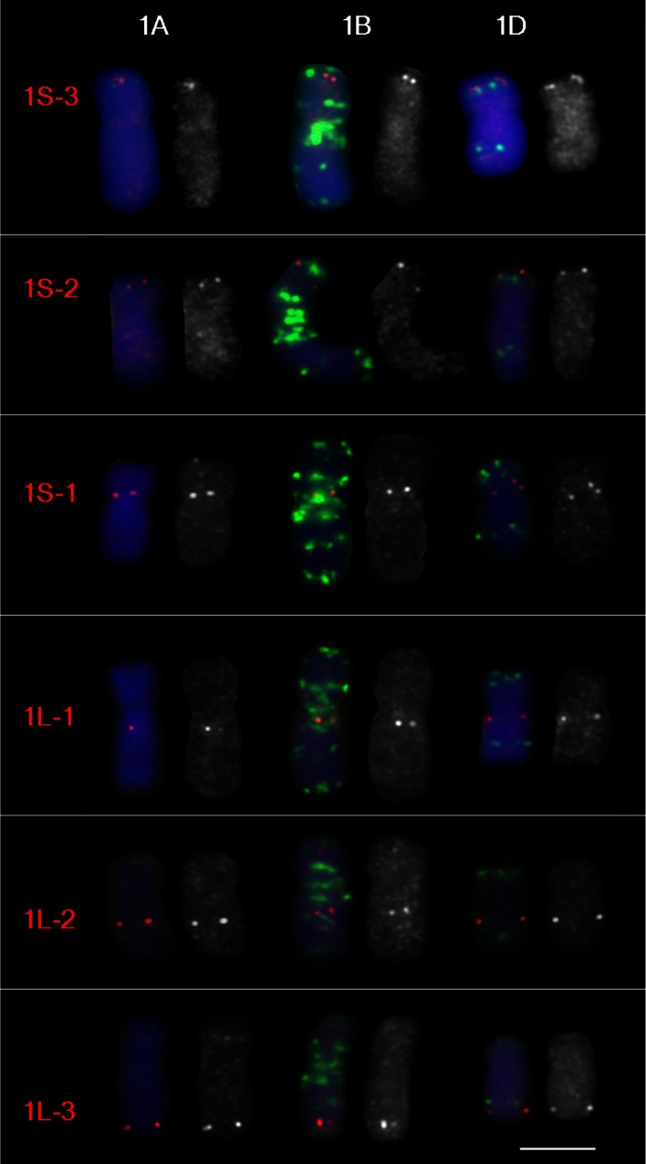 Fig. 2