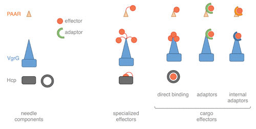 FIGURE 3