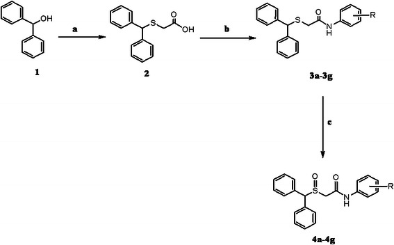 Scheme 1