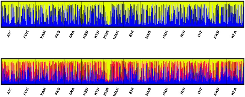 Fig 3