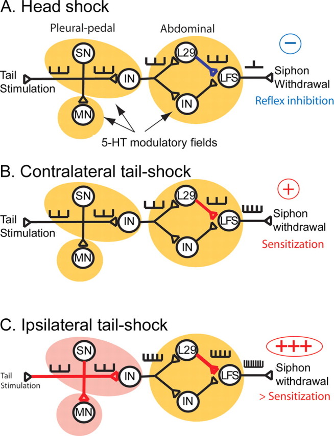 Figure 10.